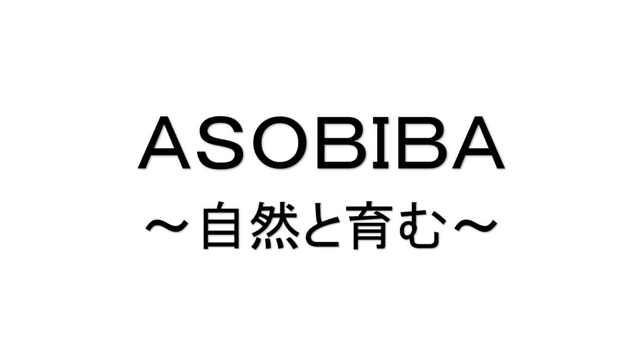 nuリノベーションスタッフブログ_ASOBIBA～自然と育む～00