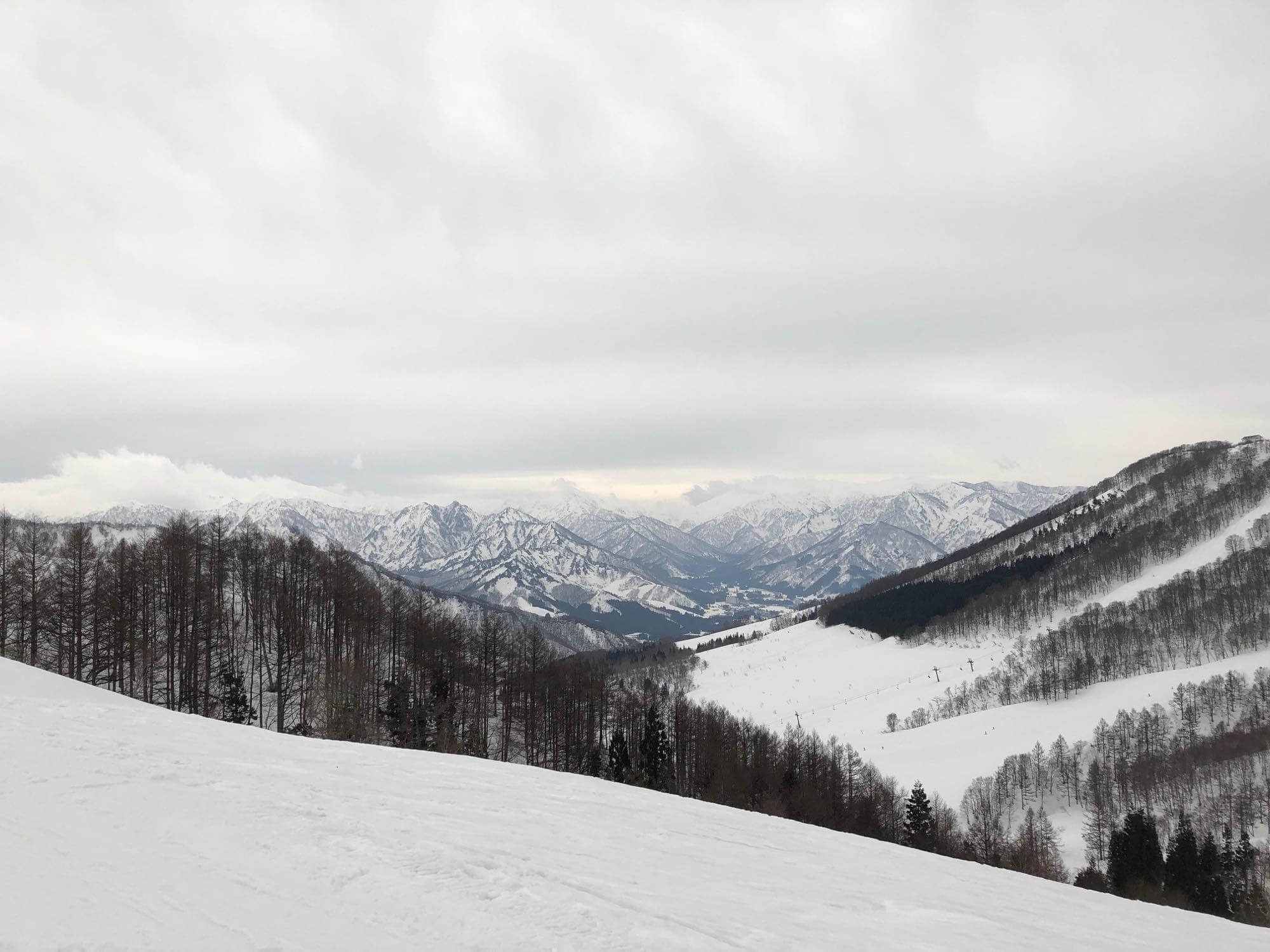 blog「スキー・スノボ旅行」banner