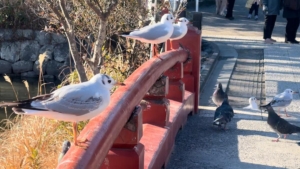 遅起きデスパレート