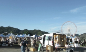 自由に。