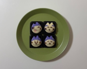 ねこに会いに