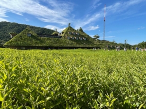 「ワクワク」を忘れないこと